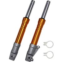 金太郎 フロントフォーク Dio ZX ゴールド - バイク