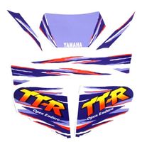 TT250R ＞ 4GY ＞ 外装