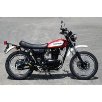 受注生産】250TR(FI車)用 オープンエンドマフラー - バイク