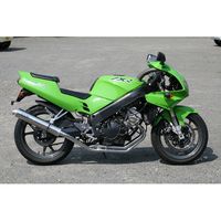 マフラー RPM-DUAL ZXR250/R(89-99) - バイク