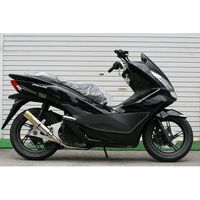 WGPラプターS 2型PCX125 ブラックカーボン - バイク