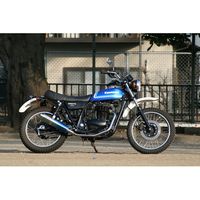 マフラー 80D-RAPTOR 250TR ステンレス - バイク
