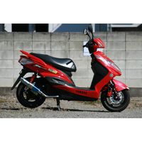 マフラー RPM CYGNUS-X125(EBJ-SE44J) - バイク