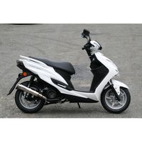 TT-Formula RS フルチタン CYGNUS-X/SR 17 16 - バイク