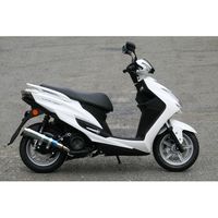 TT-Formula RS フルチタン CYGNUS-X/SR 17 16 - バイク