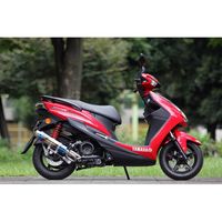 TT-Formula フルチタン Cygnus-X SR 16- - バイク