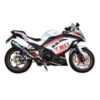 受注生産】N-R Evo TypeII(JP250用) Sus/TI Ninja250 - バイク
