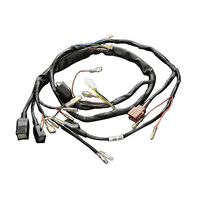 Z1/Z2 ハイブリッドメインハーネスセット - バイク