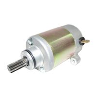 ブラックセルモーター [強化タイプ] BW'S100 グランドアクシス - バイク