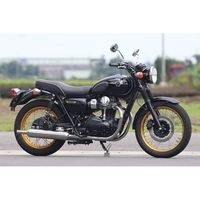 ワイバンクラシック クラシカルタイプ(ヒートガード対応) WK20