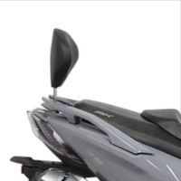 バックレストキット BMW C650GT(12-22) - バイク
