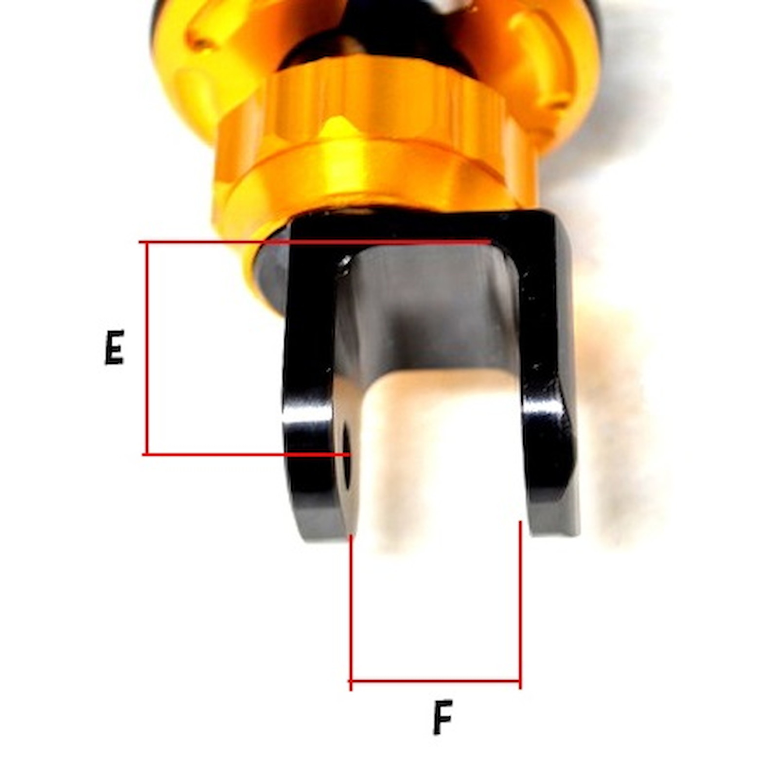 17374484_5.jpg