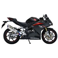 ツインチタンメガホン スリップオン YZF-R25/MT-25 - バイク