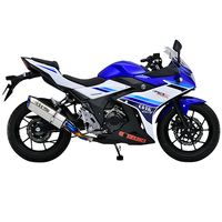 スリップオン R-77S サイクロン STC GSX250R(17/23-25) - バイク