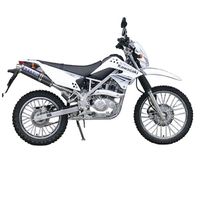 ステンチタン マフラー KLX125/D-TRACKER - バイク