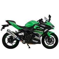ワイバンリアルスペック18-Ninja400 スリップオン Type R RK32-03RT