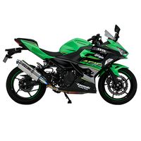 ワイバンリアルスペック18-Ninja400 スリップオン Type R RK32-03RT