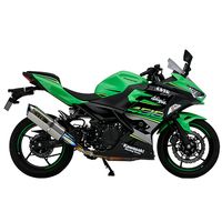 TT-Formula RS フルチタン S/O Ninja400 - バイク