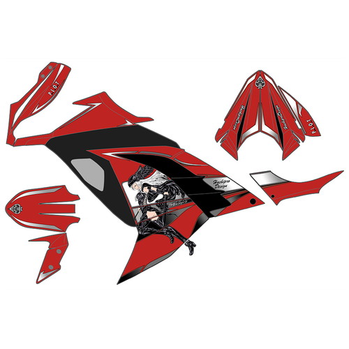 デカールキット ヴァルキリー ブラック Ninja250 - バイク
