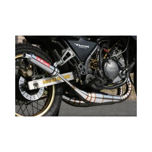 鏡面ステンレスチャンバー TYPE-2 TDR250 - バイク