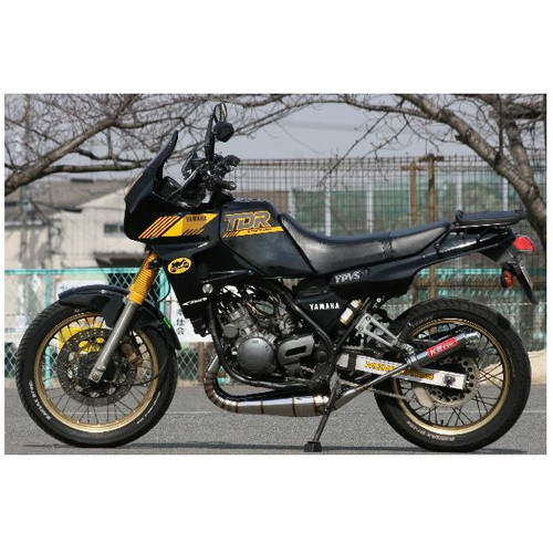 鏡面ステンレスチャンバー TYPE-2 TDR250 - バイク