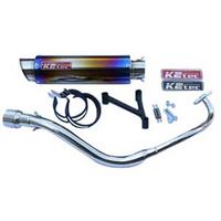 WGPラプターS PCX125 BRカーボン - バイク