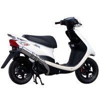 100φ砲弾マフラー Type3 250TR - バイク