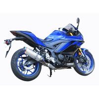 受注生産】N-R Evo TypeII(JP250用) Sus/TI Ninja250 - バイク