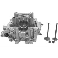 武川シリンダーヘッド106cc SPECIAL PARTS TAKEGAWA / スーパーヘッド4V+R 106ccキット(2点
