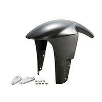 フロントフェンダー FG付平織カーボン Z1000 03-06 - バイク