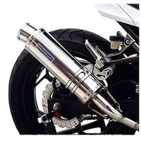 スリップオン R-77S サイクロンカーボンエンド Ninja250/ABS 13/Z250