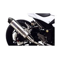 スリップオン R-77S サイクロンカーボンエンド Ninja250/ABS 13/Z250