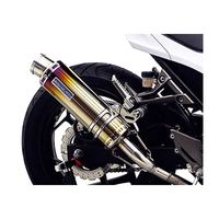 スリップオン R-11 サイクロン 1エンド SS Ninja250/ABS 13/Z250 13