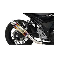 スリップオン R-11 サイクロン 1エンド STB GSX250R(17/23-25