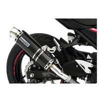 受注生産】Ninja250(2BK-EX250P)用 スリップオンマフラー ユーロタイプ