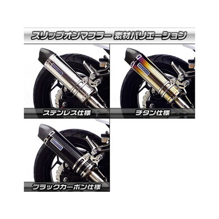 受注生産】Ninja250用 スリップオンマフラー ユーロタイプ