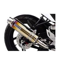 受注生産】CBR125R(EBJ-JC50)用 ダイナミックマフラー スポーツタイプ