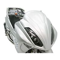 90208 デベロッパー フロントマスク マジェスティ250 4D9 SG20J - バイク