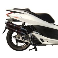 WGPラプターS PCX125 BRカーボン - バイク