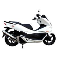 WGPラプターS 2型PCX125 ブラックカーボン - バイク