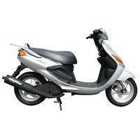 SPRスポーツチャンバー [BW'S100 グランドアクシス] ノーマルルック