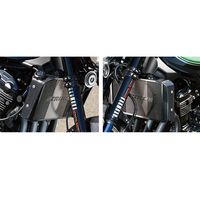 ストライカー ラジエターサイドシュラウドカーボン平織 Z900RS CAFE エアロデザイン SAD ラジエターサイドシュラウド Type-2(ボルトオン