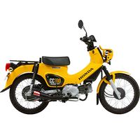 スクランブラーマフラー アップタイプ クロスカブ110(JA45/JA60) - バイク