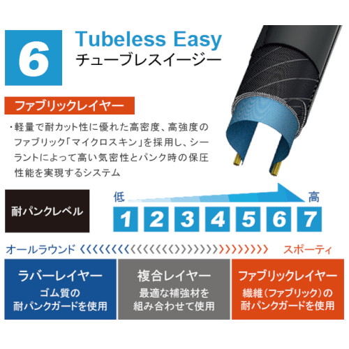 アイススパイカープロ 29×2.25 ブラック タイヤのみ - 自転車