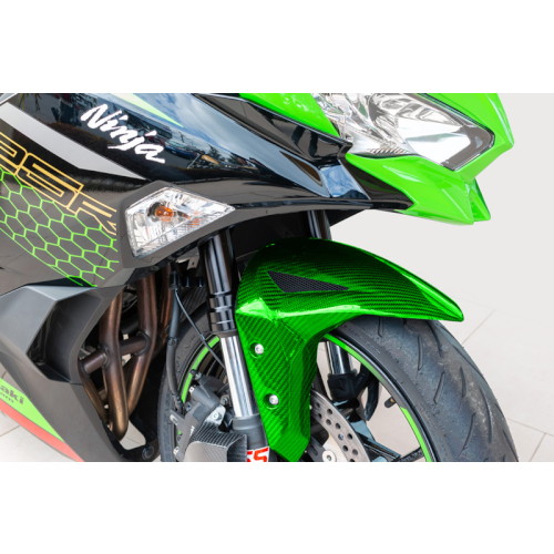 フロントフェンダー カーボンZX-25R グリーン - バイク