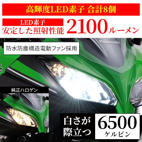 LEDヘッドランプバルブ プレシャス レイ Z H7 - バイク