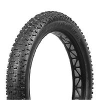 E-HUNTS MAN 20×4.0 ブラック タイヤのみ - 自転車