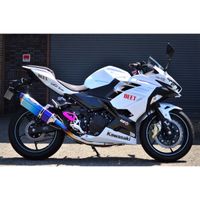 NASSERT Evolution TypeII フルエキゾーストマフラー Ninja400 - モト