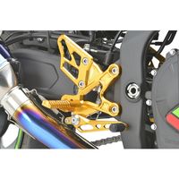 ライディングステップ クリアシルバー ZX-25R/ZX-4R - バイク