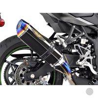 NASSERT Evolution Type II スリップオンマフラー Ninja ZX-4R